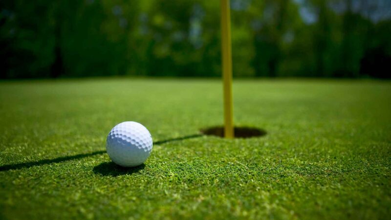 Swing for Youth - Golf and Pickle Ball Tournament Monday June 3rd - YFC ...